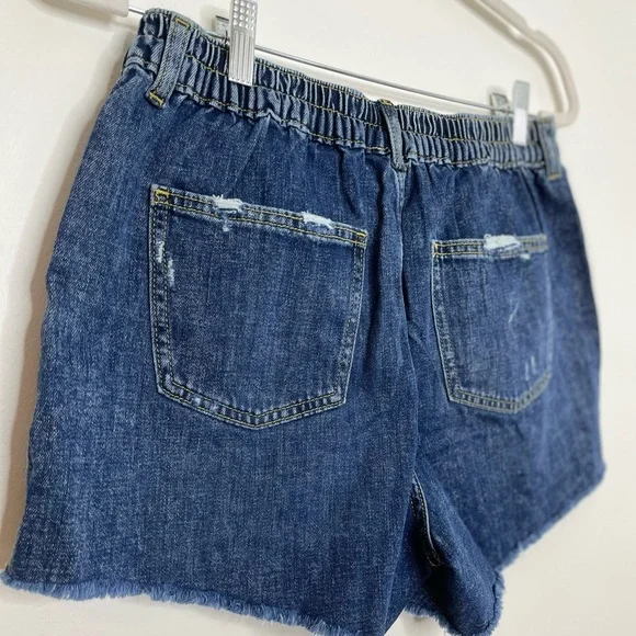 NWT Aerie Daydream Denim Distressed Shorts M - Picture 7 of 13